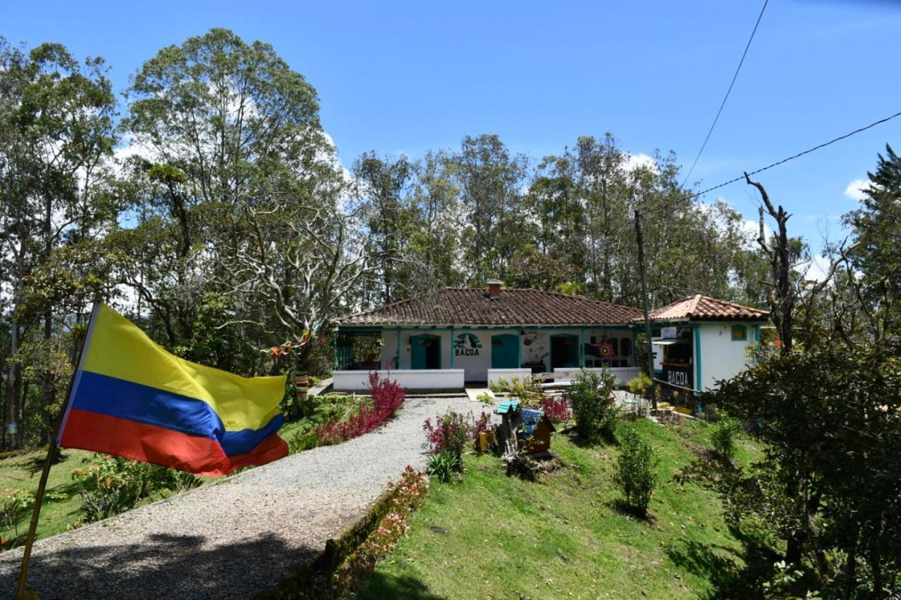 Bacoa Hostel Guatape Ngoại thất bức ảnh