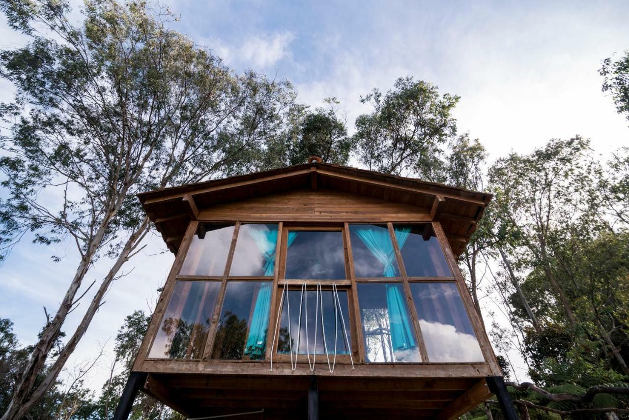 Bacoa Hostel Guatape Ngoại thất bức ảnh